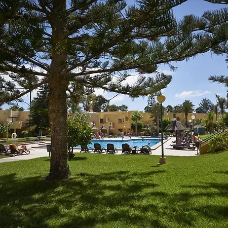 Amarilla Sol Corralejo